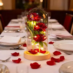 Glass Red Rose Birthday Gifts for Women Mom Girlfriend Eternal Rose Flower Gift Light Up Red Rose in Glass Dome Rose Gifts for Mothers Day Birthday Valentines