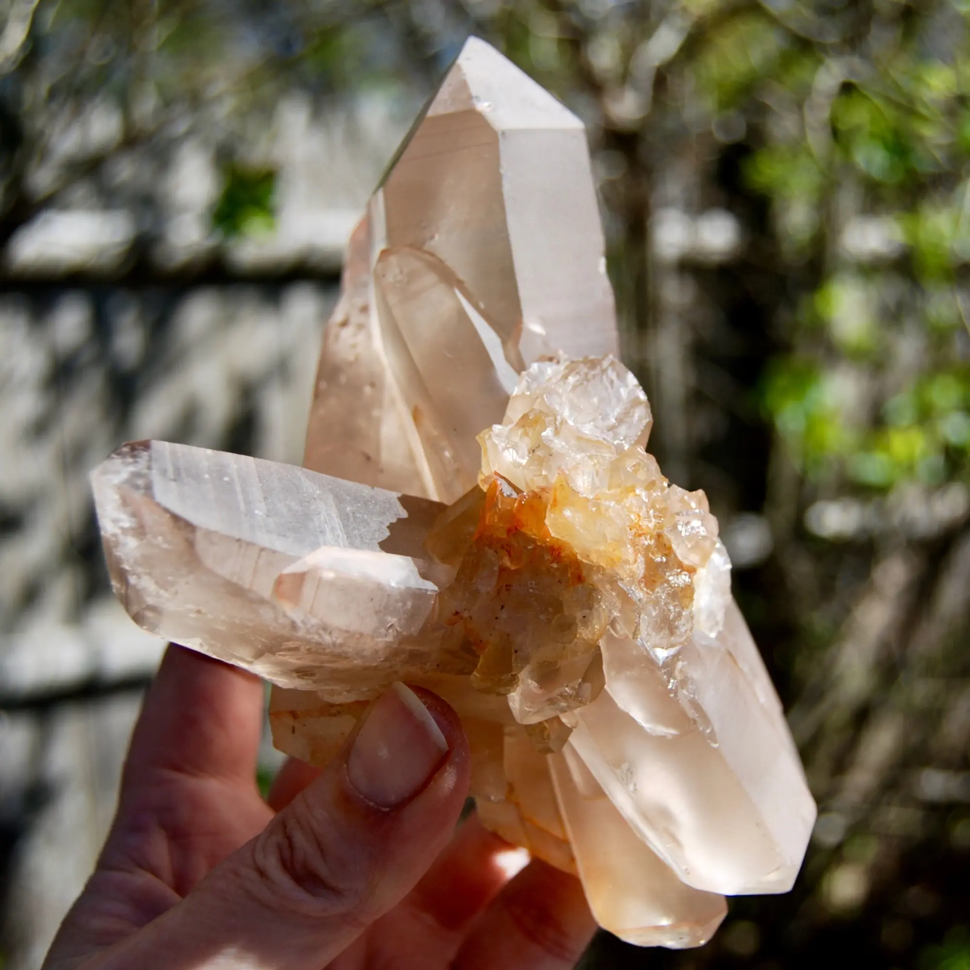5.5in 1.7lb Channeler Pink Shadow Smoky Lemurian Seed Quartz Crystal Starbrary Cluster, Brazil