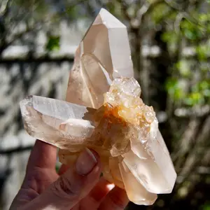 5.5in 1.7lb Channeler Pink Shadow Smoky Lemurian Seed Quartz Crystal Starbrary Cluster, Brazil