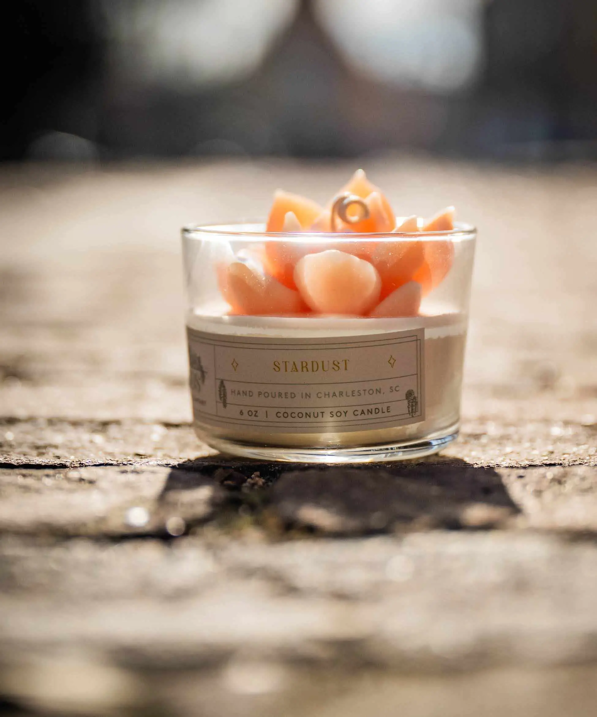 6 oz Handmade Succulent Terrarium Candle - Coconut Soy Wax, Nature-Inspired Home Decor - Perfect Gift