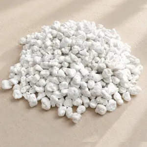 Perlite #3 — Coarse Grade | Chunky Drainage & Aeration Substrate