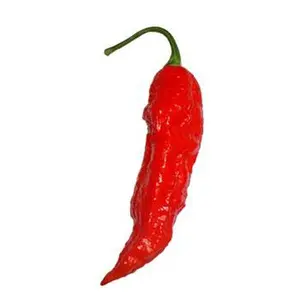 Tombstone Ghost Pepper Seeds Tombstone Ghost Pepper Seeds