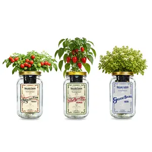 Italian Pizza Garden Mason Jar Kit (3 Pack) – Tiny Tim Tomato, Greek Basil & Mini Red Bell Pepper – Indoor Hydroponic Herb & Vegetable Grow Kit – Windowsill Pizza Garden
