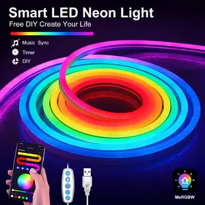 1/2/3M USB LED Neon Rope Light, APP control, Music Synchronization, DIY Creativity, Soft Rainbow Neon Light Strip, Suitable for Bedroom, Games Room, Living Room Home Decoration, Christmas Decore, Gift Choice