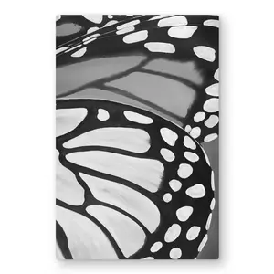 Begin Home Decor C1MP2030MMG93Y 20 x 30 in. Butterfly Wings Closeup Wall Art - Insect Bedroom Metal Print Decor