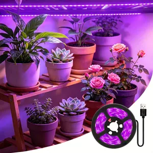 USB Indoor Plant Growth Lamp, Potted Greenery Bonsai Light, Grow Light for Indoor Houseplants Lighting Supplement.Plant Growth Enhancer, Garden Supplies