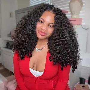 Pizazz Hair Burmese Curly Wig 13x6 HD Lace Front Wigs 100% Human Hair Pre- Everything Glueless Wig Human Hair With Drawstring Beginner Friendly