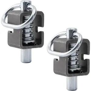 Latch Lock, Latch Assembly, Trailer Gate Latch, Pack of 2 ()