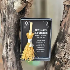 Broom - Witches Hat