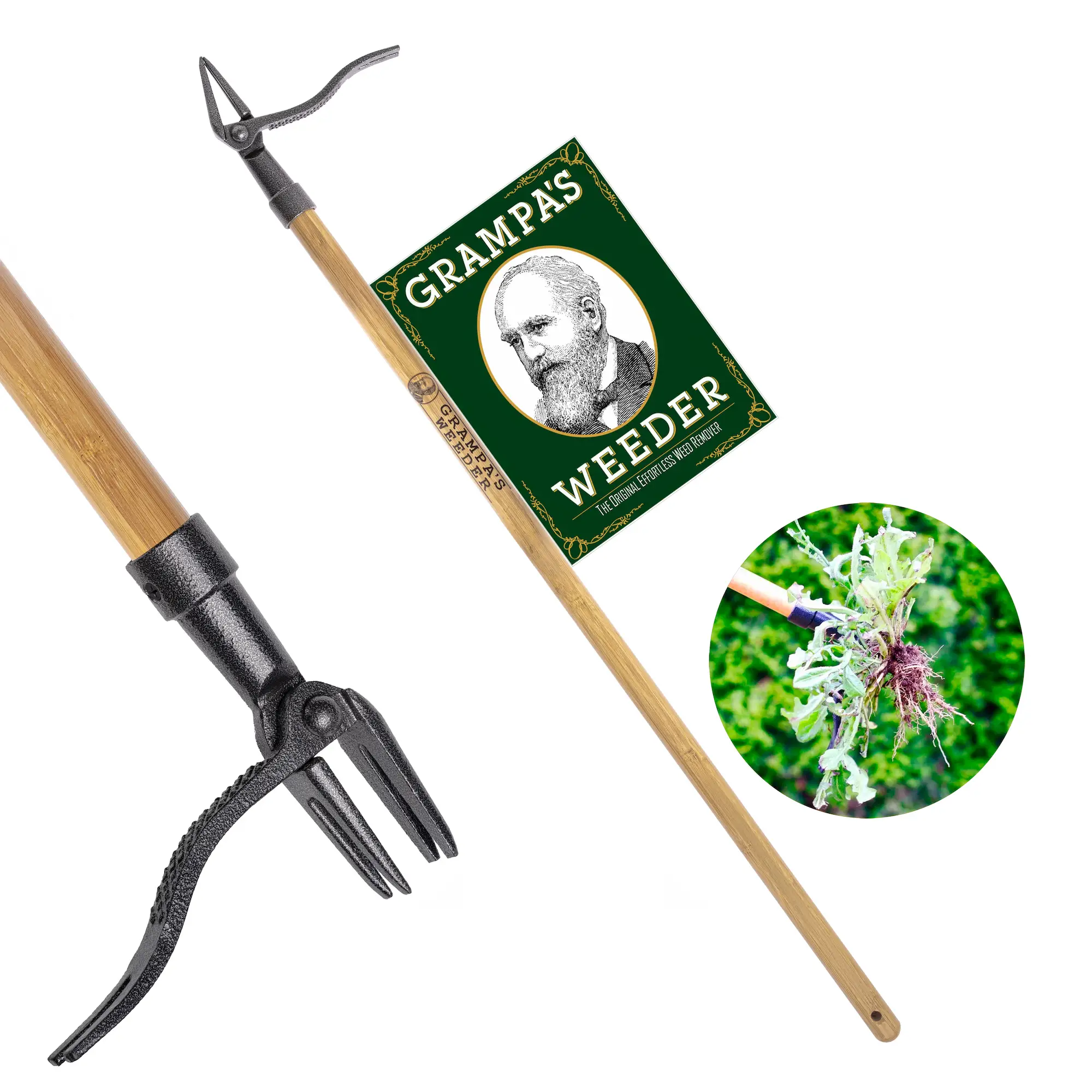 Grampa's Weeder - The Original Stand Up Weed Puller Tool with Long Handle - Made with Real Bamboo & 4-Claw Steel Head Design - Easily Remove Weeds Wit