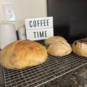 She’s Rooted Home Live Organic Sourdough Starter | Active, Beginner-Friendly, Ready to Use for Bake Bread, Pizza, Pancakes & More Baking