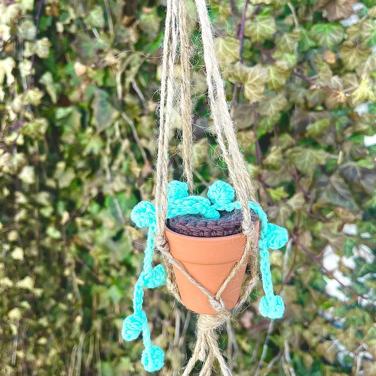 Crochet hanging succulent plant