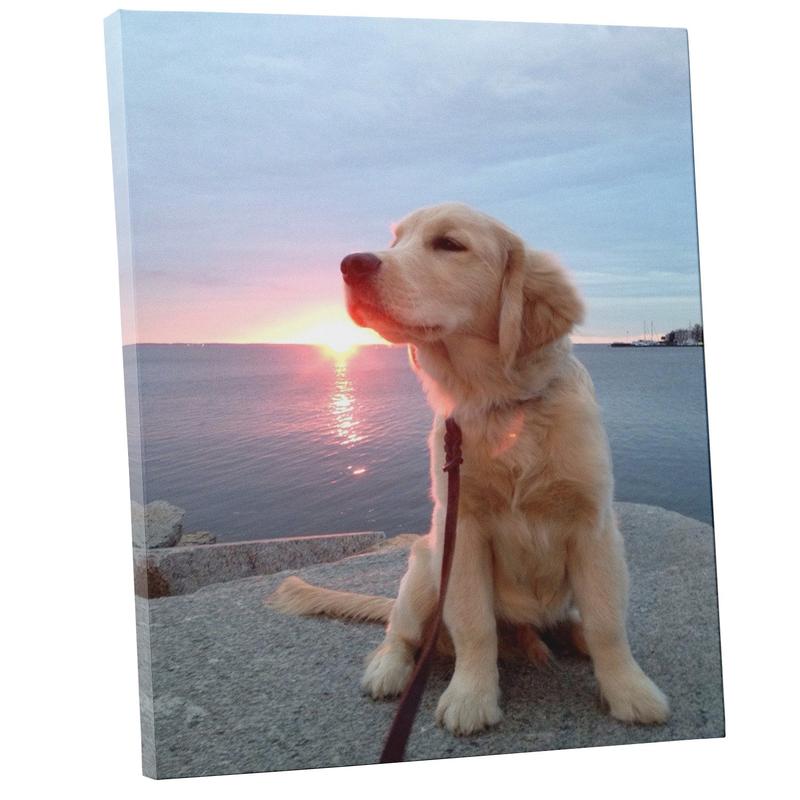 Personalized Custom Canvas Prints Custom Pine Frame Poster Wall Art Turn Photos into Stunning Framed Art Unique Gifts for Couples Friends Bedroom Decor Home Decoration Souvenirs