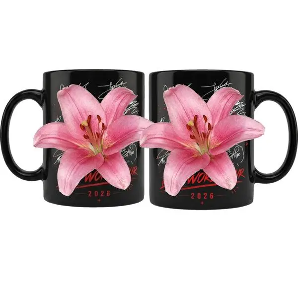 2026 Music Tour Mug | Concert Coffee Cup | Concert Fan Gift | Music Lover Cup | Daily Coffee Mug | TikTok Shop