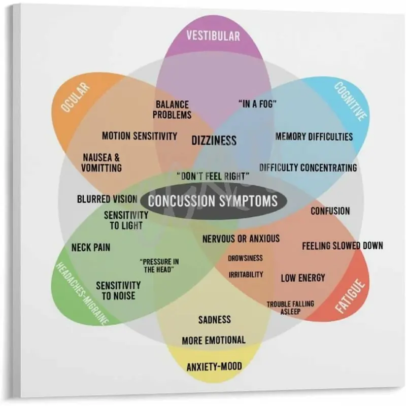 Concussion Map Guide Poster Concussion Symptoms Poster (2) Canvas for Bedroom Living Room Decor 20x20inch(50x50cm) Frame-style