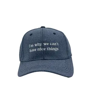 Im Why We Cant Have Nice Things Hat Funny Sarcastic Cap Funny Hats Dad Joke  Funny Mother's Day  Novelty Caps for Men Standard