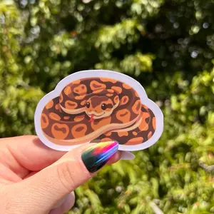 Cute Ball Python Snake Reptile Waterproof UV-proof Sticker