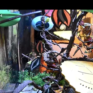 HomiQ Life 3MP 2K Aquarium & Terrarium Pet Camera.Magnetic Install &Close-Focus Lens for Fish,Lizard, Reptile Pet and Window Bird Feeder,2.4GHz & 5GHz WiFi,Color Night Vision,Auto-focus,24/7 Recording