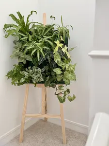 4x4 Plant Stackable Box Stand Set for Efficient Storage and Display of Greenhouse Plants and Gardening Tools