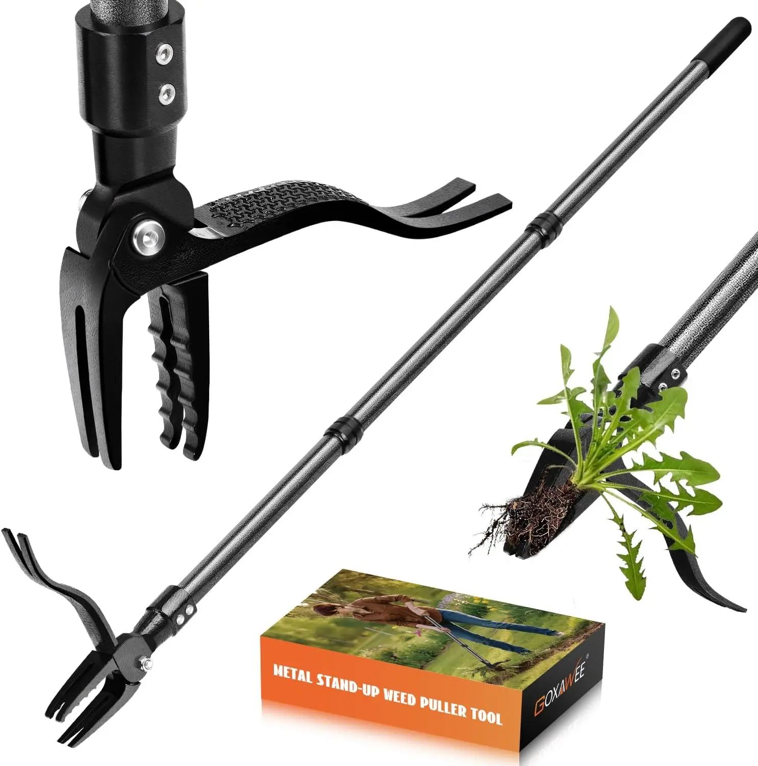 Heavy Duty Stand Up Weed Puller Tool - 45-in Adjustable Steel Weed Remover, 4-Claw Head, Long Handle Manual Tool for Lawn, Garden