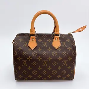 Pre-owned Louis Vuitton Monogram Speedy 25