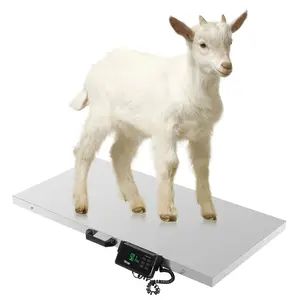 TUFFIOM 1100Lbs x 0.2Lbs Postal Digital Livestock Scale, Electronic Stainless Steel Platform Heavy Duty Vet Animal Scale,Dog Pig Goat Sheep Scale, Silvery