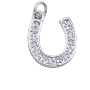 Horseshoe Charm