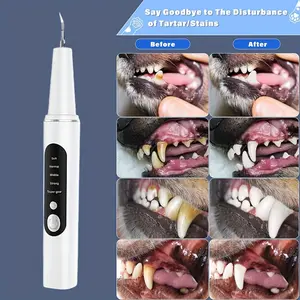 [Pet Electric Tooth Cleaner] 1pc Pet Electric Tooth Cleaner - 4 Modes Teeth Stains and Stones Remover - 2 Cleaning Heads, USB Charger, Teeth Care Tool