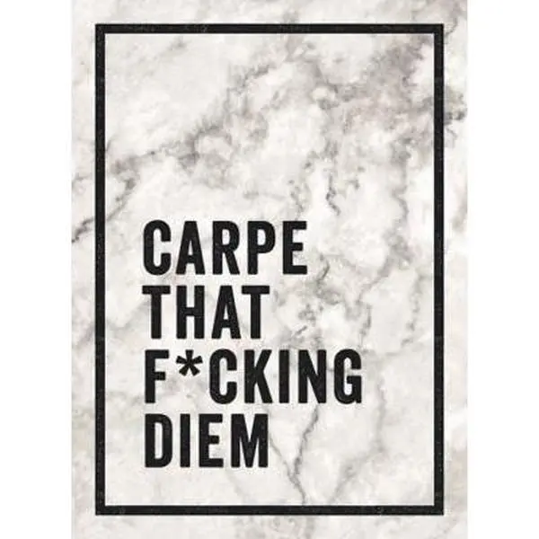 USED Book - Carpe That F*cking Diem by Summersdale (Hardcover) - english