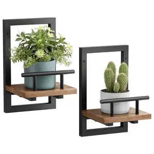 Batoto Floating Shelves for Wall, Plant Shelf Indoor, Wall Planters for Indoor Floating Plant Shelves for Bedroom, Living Room, Kitchen, Office, Bathroom Decor