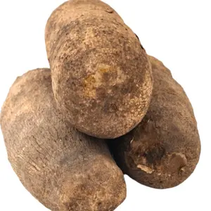 FRESH GHANA YAM - 10 LB