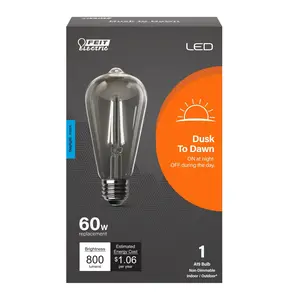 Feit Electric 60 Watt Replacement Daylight (5000K) E26 Base ST19 Dusk to Dawn LED Light Bulb