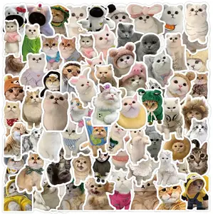 Sticker CAT gift random 5pcs