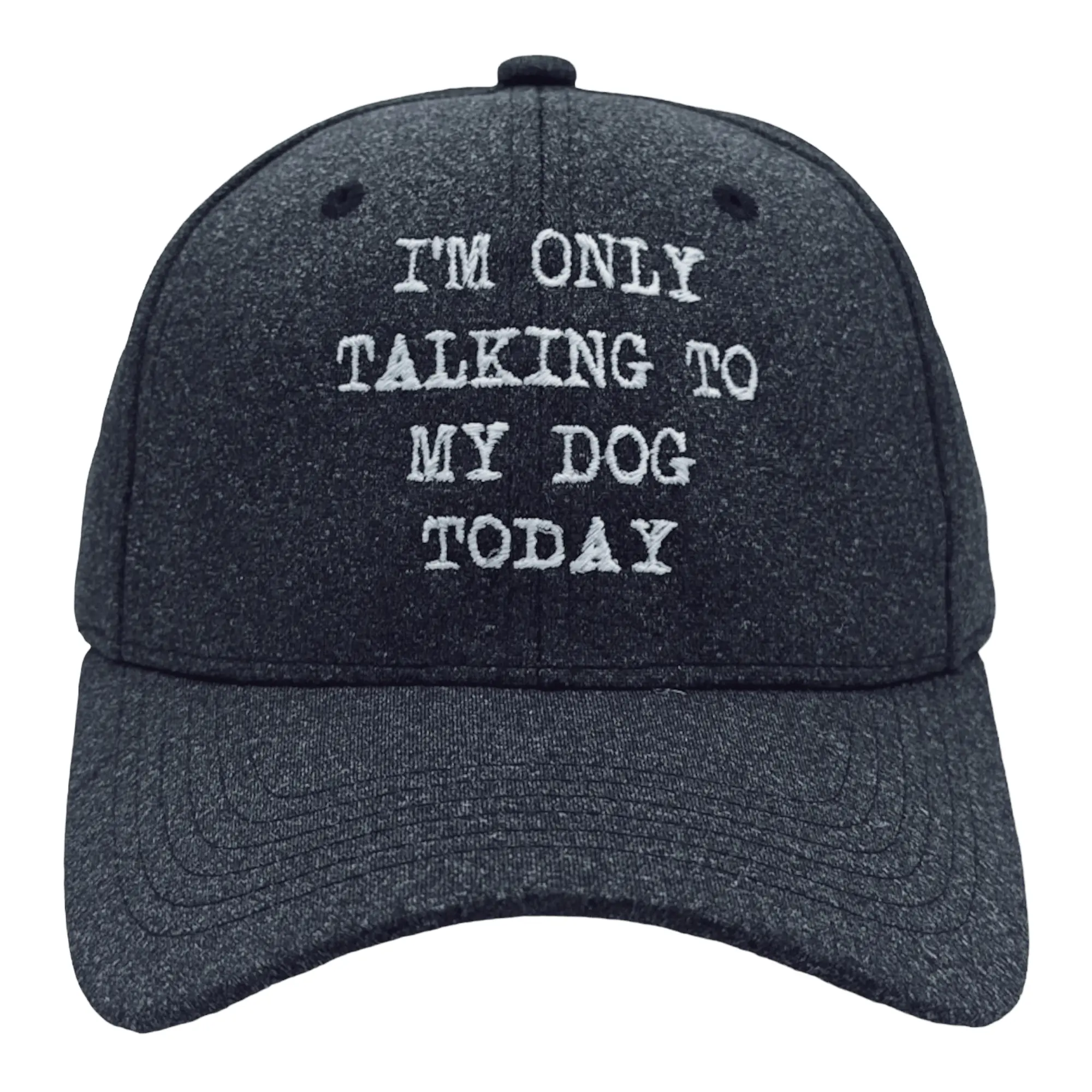 Im Only Talking to My Dog Today Hat Funny Dog Lovers Cap Funny Hats Introvert  Funny Dog  Novelty Caps for Men Black - Standard