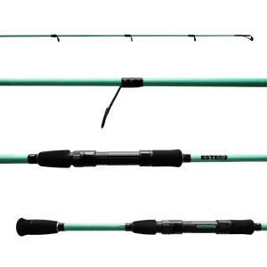 ESTERO INSHORE