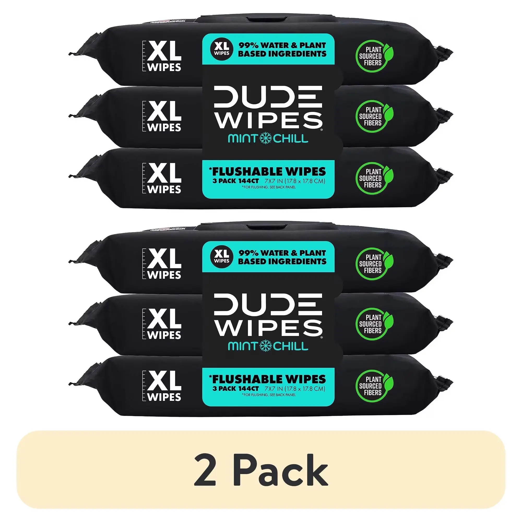 DUDE Flushable Wipes, Extra Large Mint Chill Wet Wipes, 48 Count, 5 Pack (240 Total)