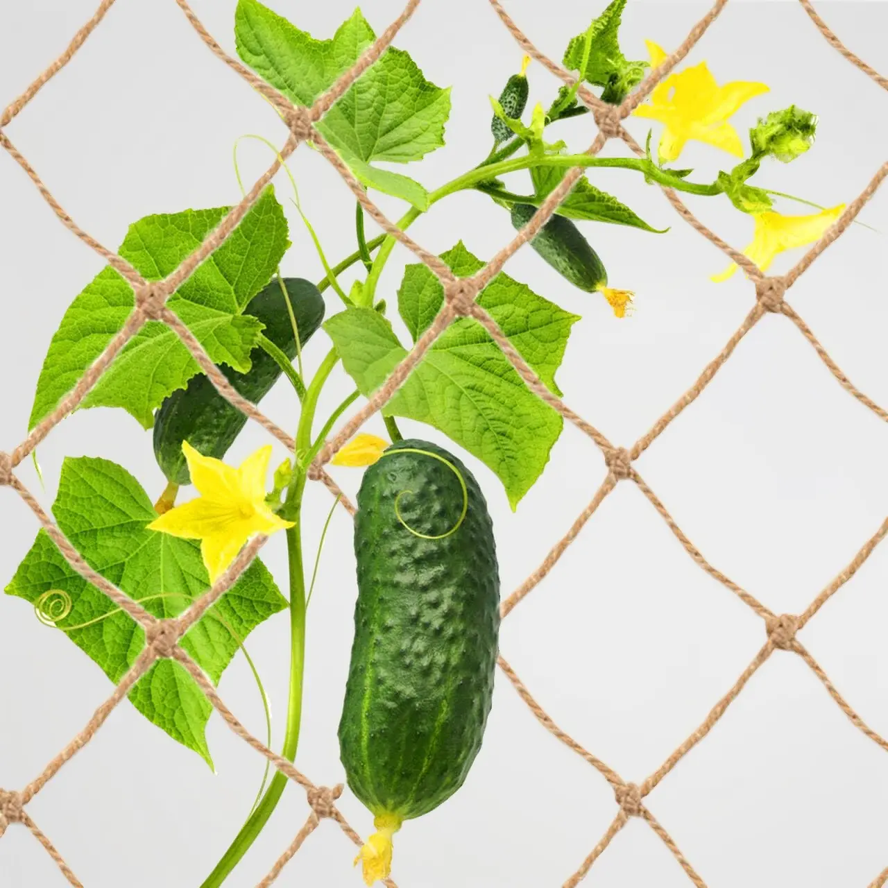 Jute Trellis Netting for Climbing Plants, Heavy Duty Jute Plant Support Net Natural Jute Hemp Rope Net with 5.9 inch Mesh for Climbing Vine Vegetables Cucumber, Tomatoes, Peas (6.5 * 16.5 FT)