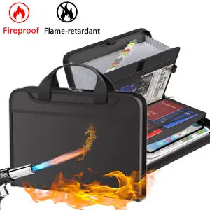 Multifunctional File Folder Organizer Black Fireproof Handheld TransparentAccordion File for A4 Documents Passports