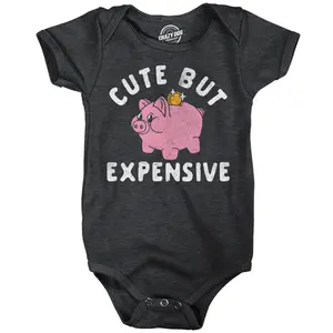 Cute But Expensive Baby Bodysuit Funny Sarcastic Graphic Novelty Jumper for Infants Funny Baby Onesies Funny Sarcastic Onesie Novelty Onesie Black -