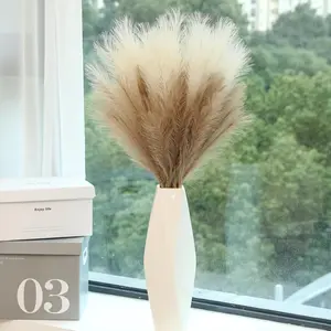 9 Stems Faux Pampas Grass - 38 Inch Long  Pompous Grass Bulk, Big Artificial Pompas Floral for  Shower Decoration, Wedding Centerpieces and Boho  Decor (Beige & Taupe)