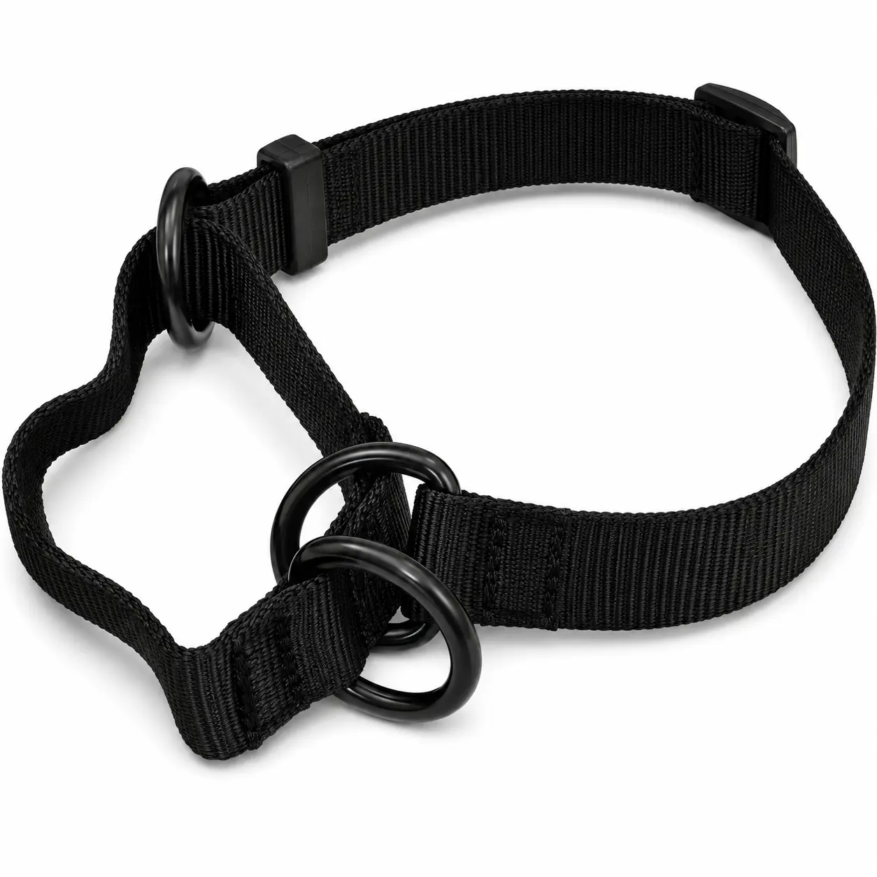 Ray Allen Martingale Nylon Collar for Dogs – Adjustable Training Collar for Better Control