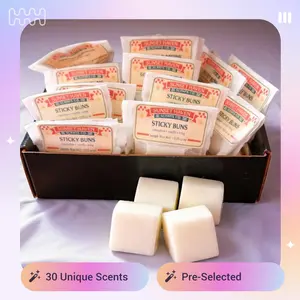 Buy One Get One Free | 10 Piece Wax Melt Sampler Box | Hand Poured Soy Blend | Surprise Scent Discovery Set