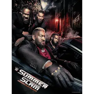 WWE 2024 SummerSlam Event Poster Art Photograph Wrestling Photos Art Poster Print Modern Home Office Decor Living Room Entryway Hallway Mural Dorm Aesthetic High-Definition Canvas Vibrant Colors