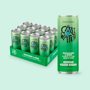 Caliwater Ginger and Lime Flavored Cactus Water with Rare Antioxidants + Electrolytes, Plant-Based, Non-GMO, Non-Carbonated, 12 fl oz Cans (Pack of 12)