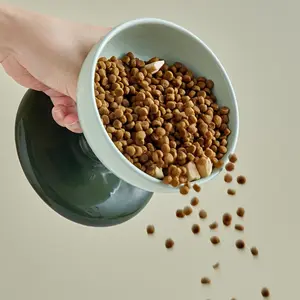 Ceramic Pet Bowl, 1 Count Raised Pet Bowl with Anti-slip Base, Pet Feeding Bowl, Pet Drinking Bowl, Pet Feeding Supplies, Drinking Water Bowl