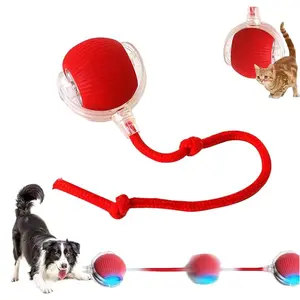 Cat Interactive Ball Toy, Automatic Rolling Ball with Tail, Rechargeable Smart Pet Interactive Toy, Intelligent Mouse for Cat