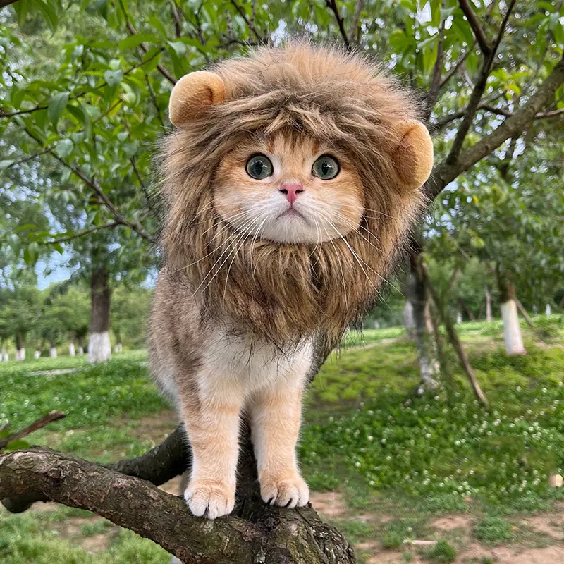 Velvet Animal Themed Clothes Pet Cosplay Hat - Realistic Lion Headgear for Small Dogs & Cats