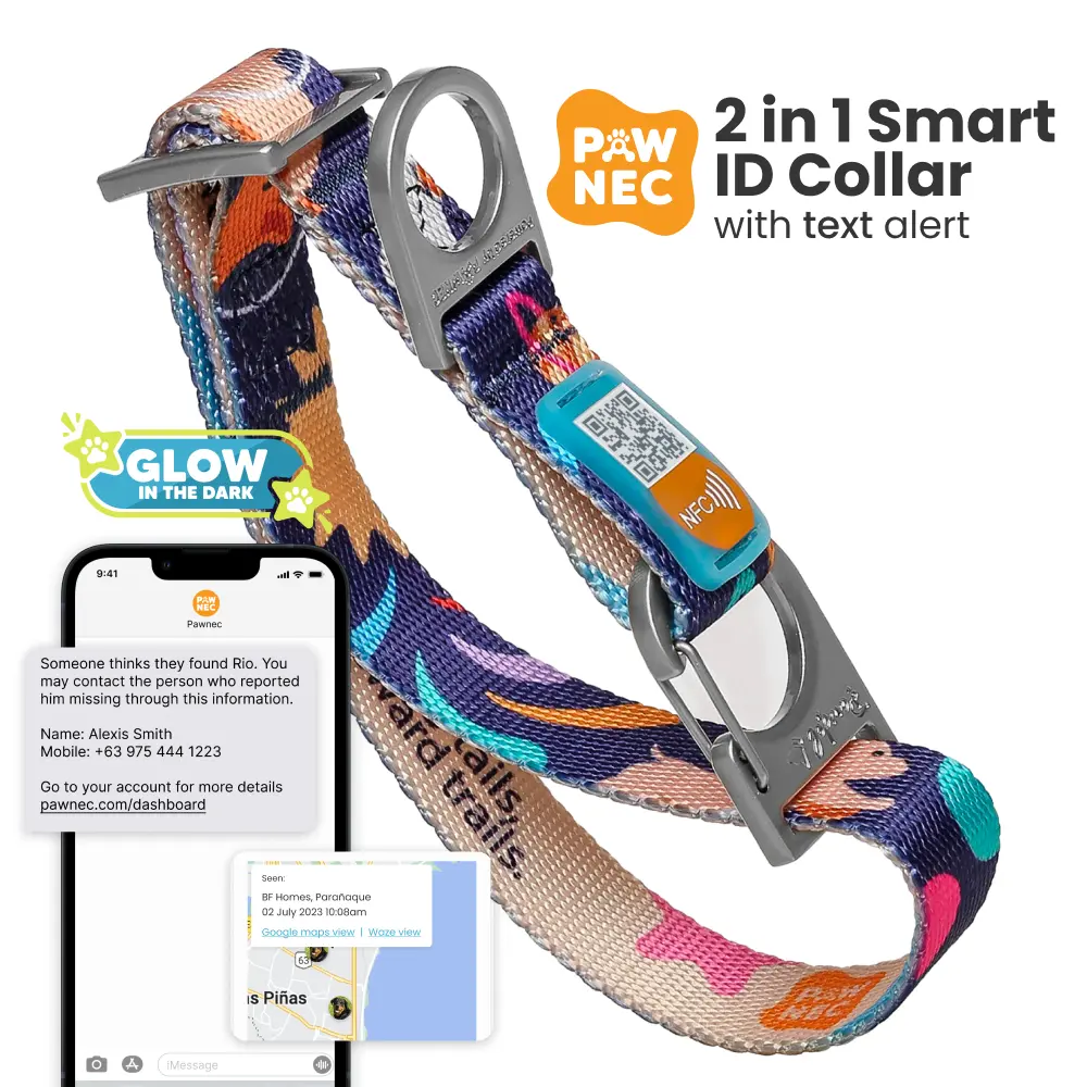 NeoCollar 'Cosmic Paws' - 2-in-1 dog collar with ID tag - Personalized with Name - Customized Collar for Pets