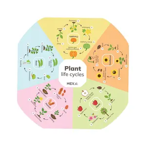 Plant Life Cycles Insert