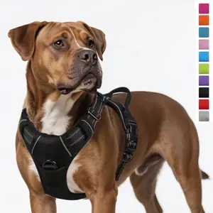 Dog Leash And Harness Set Nylon Reflective Pet Lead Vest For Large Dogs Heavy Duty Control Comfortable Padded No Pull